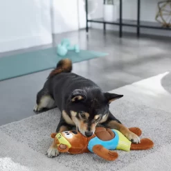 Frisco Fitness Bear Reversible Plush Squeaky Dog Toy 7 Frisco Fitness Bear Reversible Plush Squeaky Dog Toy -Frisco Shop 288897 PT3. AC SS1800 V1638291713