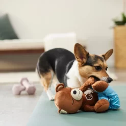 Frisco Yoga Bear Plush Squeaky Dog Toy -Frisco Shop 288903 PT3. AC SS1800 V1638288516