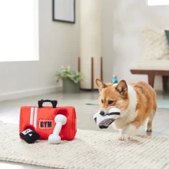 Frisco Gym Bag Hide & Seek Puzzle Plush Squeaky Dog Toy -Frisco Shop 288913 PT3. AC SS1800 V1638289728