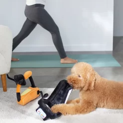 Frisco Treadmill & Bike Plush Squeaky Dog Toy, 2 Count 5 Frisco Treadmill & Bike Plush Squeaky Dog Toy, 2 Count -Frisco Shop 288921 PT3. AC SS1800 V1638290517