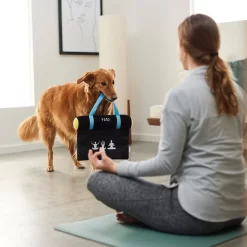 Frisco Yoga Mat Plush Squeaky Dog Toy -Frisco Shop 288923 PT3. AC SS1800 V1638290551