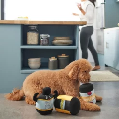 Frisco New Year, New Me Protein Powder Plush Squeaky Dog Toy 5 Frisco New Year, New Me Protein Powder Plush Squeaky Dog Toy -Frisco Shop 288925 PT3. AC SS1800 V1638289658