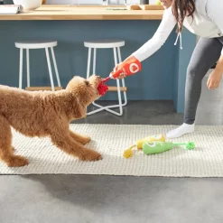 Frisco New Year, New Me Juice Cleanse Plush Squeaky Dog Toy -Frisco Shop 288929 PT3. AC SS1800 V1638289348