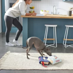 Frisco Cookbooks Plush Squeaky Dog Toy, 2 Count 5 Frisco Cookbooks Plush Squeaky Dog Toy, 2 Count -Frisco Shop 288937 PT3. AC SS1800 V1638287852