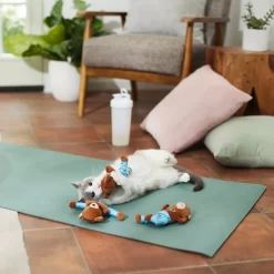 Frisco New Year, New Me Namaste Bear Plush Cat Toy With Catnip -Frisco Shop 288947 PT3. AC SS1800 V1638289414