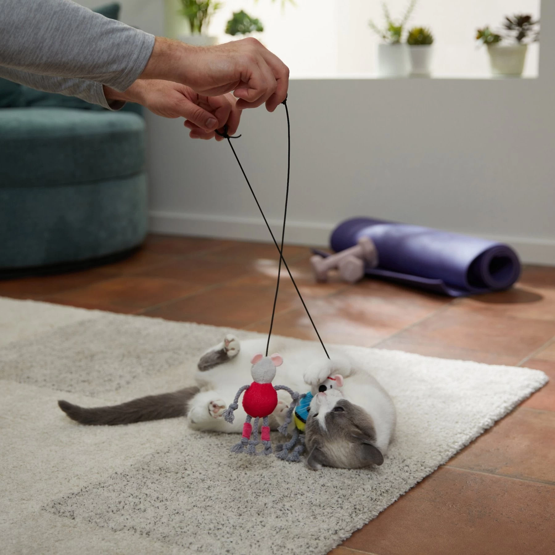 Frisco New Year, New Me Gym Bouncy Mice Plush Cat Toy With Catnip 3 Frisco New Year, New Me Gym Bouncy Mice Plush Cat Toy With Catnip - Image 3