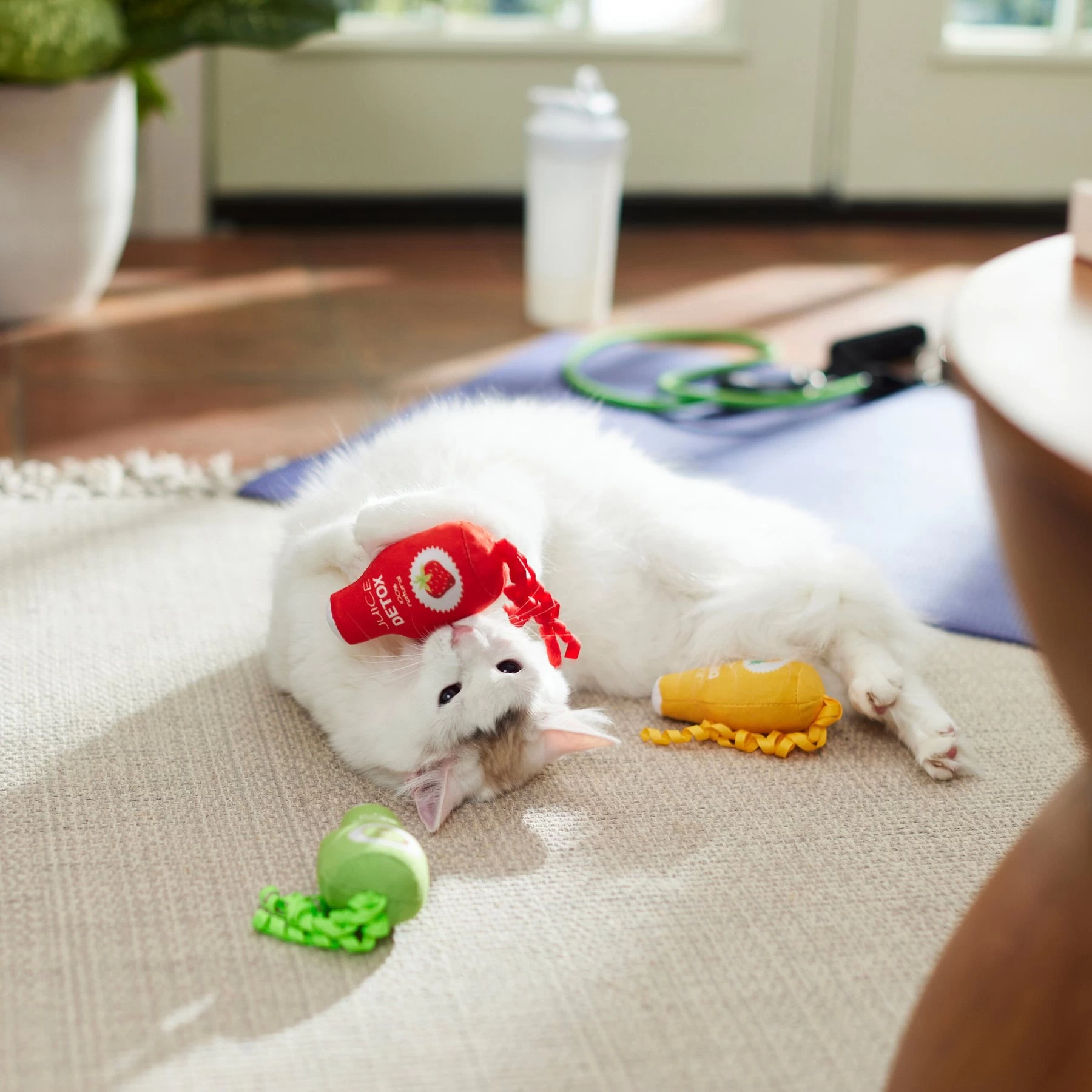 Frisco New Year, New Me Juice Cleanse Plush Cat Toy With Catnip 3 Frisco New Year, New Me Juice Cleanse Plush Cat Toy With Catnip - Image 3