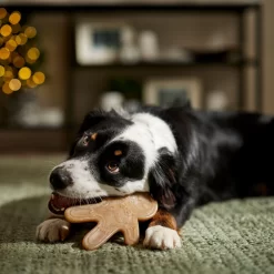 Frisco Nylon Gingerbread Dog Chew Toy, Beef Flavor, Medium -Frisco Shop 291385 PT3. AC SS1800 V1668108316