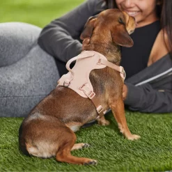 Frisco Comfort Padded Dog Harness -Frisco Shop 291539 PT8. AC SS1800 V1650490890