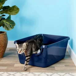 Frisco High Sided Cat Litter Box, Extra Large & World's Best Multi-Cat Unscented Clumping Corn Cat Litter -Frisco Shop 293046 PT2. AC SS1800 V1619998947