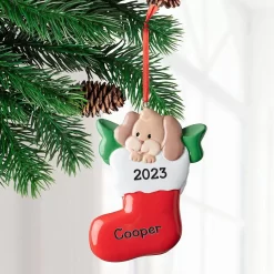 Frisco Dog In Stocking Resin Personalized Ornament -Frisco Shop 295085 PT2. AC SS1800 V1697131878