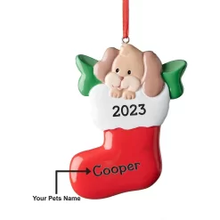 Frisco Dog In Stocking Resin Personalized Ornament -Frisco Shop 295085 PT4. AC SS1800 V1697131876