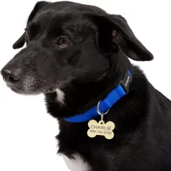 Frisco Brass Personalized Dog ID Tag -Frisco Shop 296191 PT6. AC SS1800 V1628186565