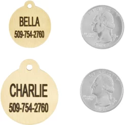 Frisco Brass Personalized Dog & Cat ID Tag, Round -Frisco Shop 296194 PT5. AC SS1800 V1628186525
