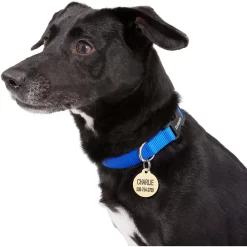 Frisco Brass Personalized Dog & Cat ID Tag, Round -Frisco Shop 296194 PT6. AC SS1800 V1628186507