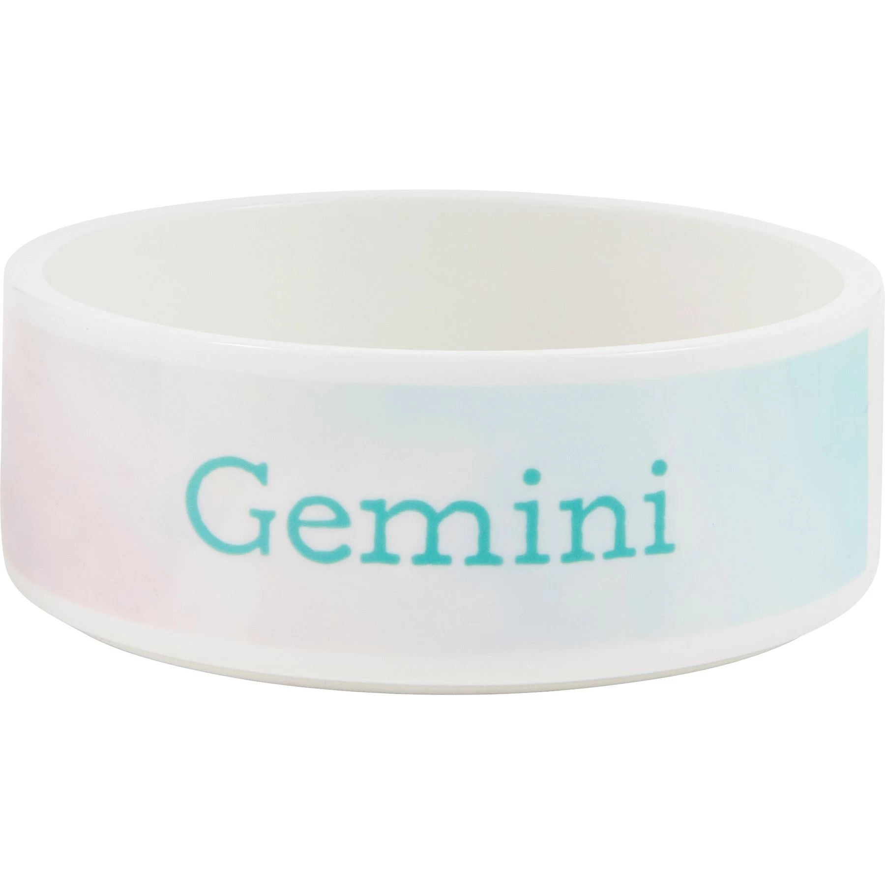 Frisco Watercolors Ceramic Personalized Dog Bowl 1 Frisco Watercolors Ceramic Personalized Dog Bowl