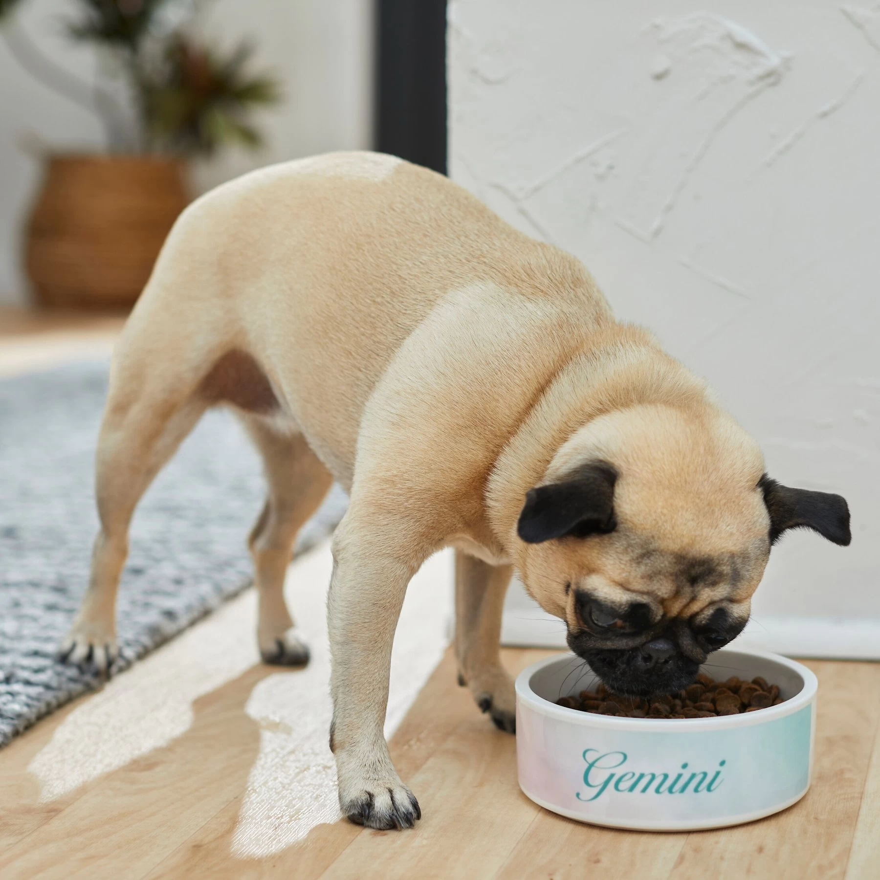 Frisco Watercolors Ceramic Personalized Dog Bowl 3 Frisco Watercolors Ceramic Personalized Dog Bowl - Image 3