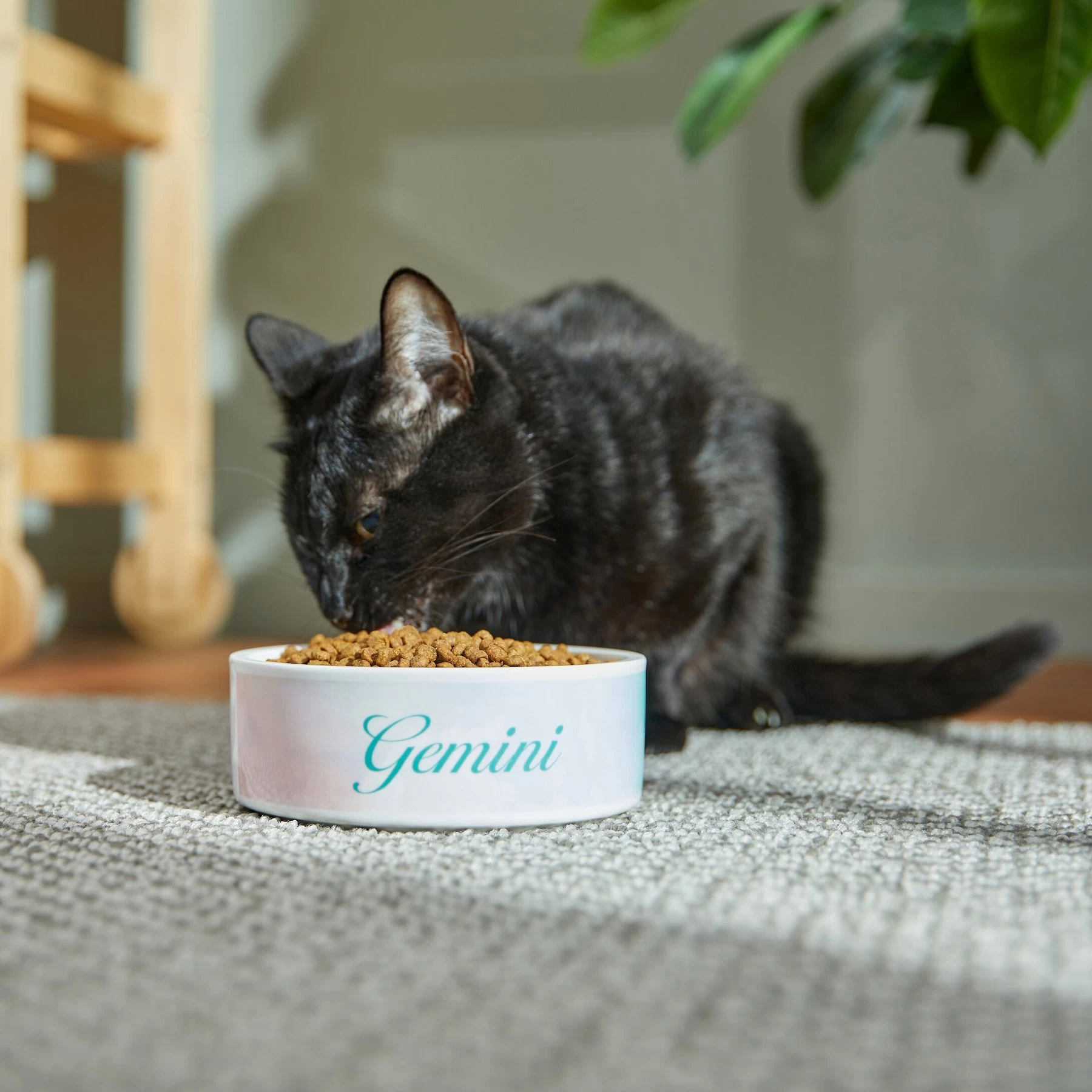 Frisco Watercolors Ceramic Personalized Dog Bowl 4 Frisco Watercolors Ceramic Personalized Dog Bowl - Image 4