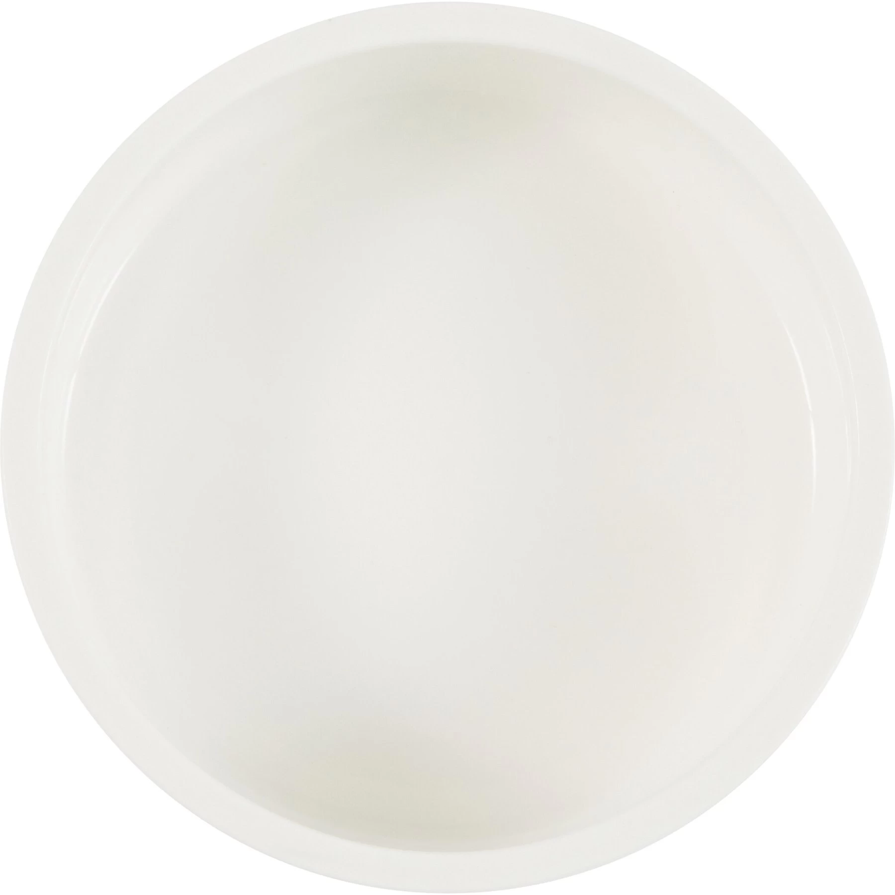 Frisco Watercolors Ceramic Personalized Dog Bowl 5 Frisco Watercolors Ceramic Personalized Dog Bowl - Image 5