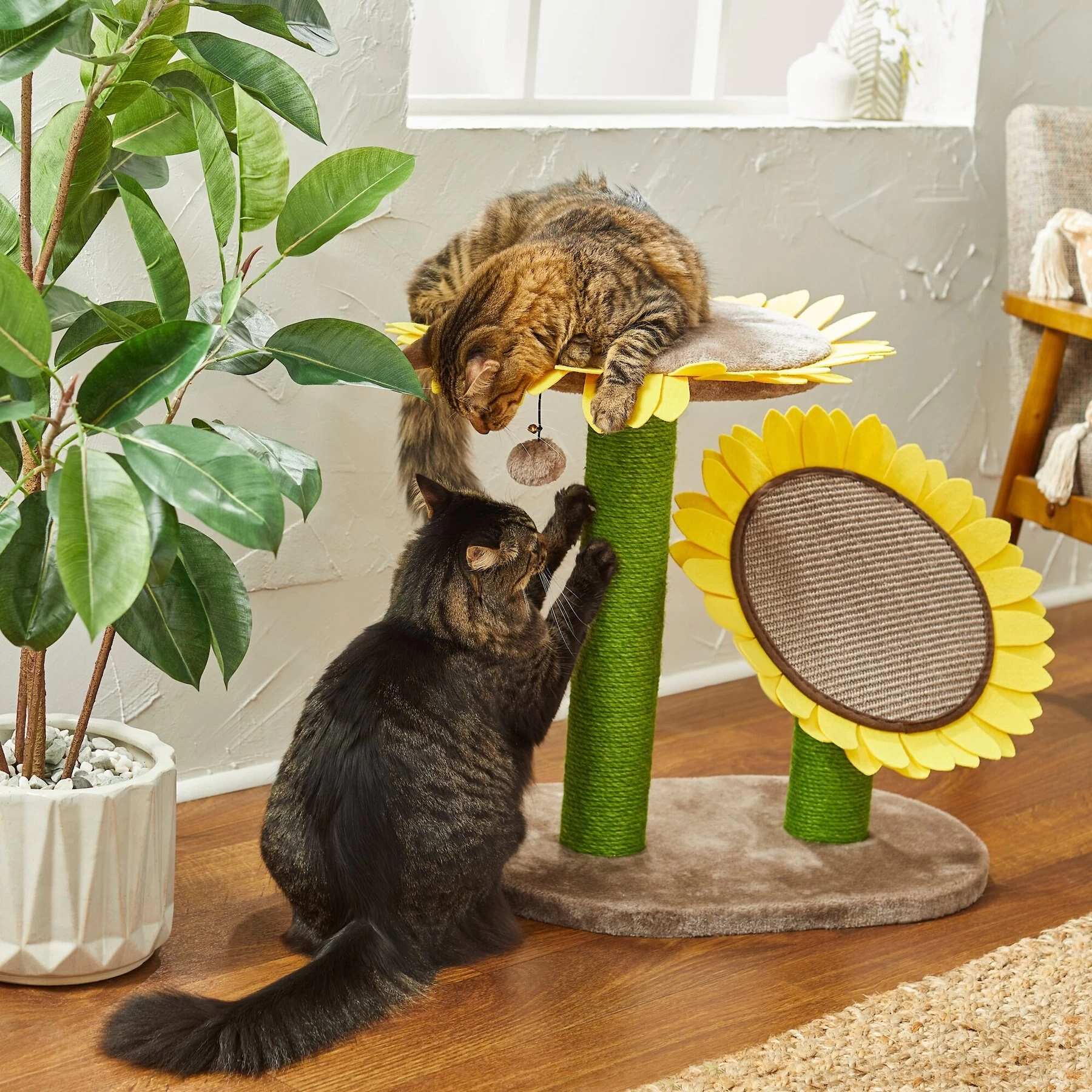 Frisco Sunflower Cat Scratching Post, Two Post With Lounger 1 Frisco Sunflower Cat Scratching Post, Two Post With Lounger