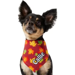 Frisco Fall Leaves Personalized Dog & Cat Bandana 15 Frisco Fall Leaves Personalized Dog & Cat Bandana -Frisco Shop 296994 PT6. AC SS1800 V1627654351