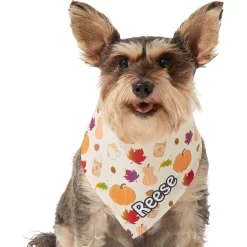Frisco Pumpkin Spice Personalized Dog & Cat Bandana 15 Frisco Pumpkin Spice Personalized Dog & Cat Bandana -Frisco Shop 296998 PT6. AC SS1800 V1627654408