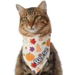 Frisco Pumpkin Spice Personalized Dog & Cat Bandana 16 Frisco Pumpkin Spice Personalized Dog & Cat Bandana -Frisco Shop 296998 PT7. AC SS1800 V1627654273