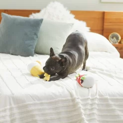 Frisco Brunch Bottomless Mimosas Plush Squeaky Dog Toy, 2 Count -Frisco Shop 297226 PT2. AC SS1800 V1642088368