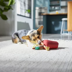 Frisco Brunch Bloody Mary Plush Squeaky Dog Toy -Frisco Shop 297228 PT2. AC SS1800 V1642088343