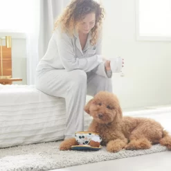 Frisco Brunch Teacup Plush Squeaky Dog Toy -Frisco Shop 297232 PT3. AC SS1800 V1642087957