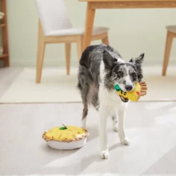 Frisco Brunch Quiche 2-in-1 Plush Squeaky Dog Toy 7 Frisco Brunch Quiche 2-in-1 Plush Squeaky Dog Toy -Frisco Shop 297248 PT3. AC SS1800 V1642089163