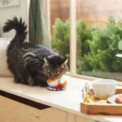 Frisco Brunch Teacup Plush Cat Toy With Catnip -Frisco Shop 297292 PT2. AC SS1800 V1642088843