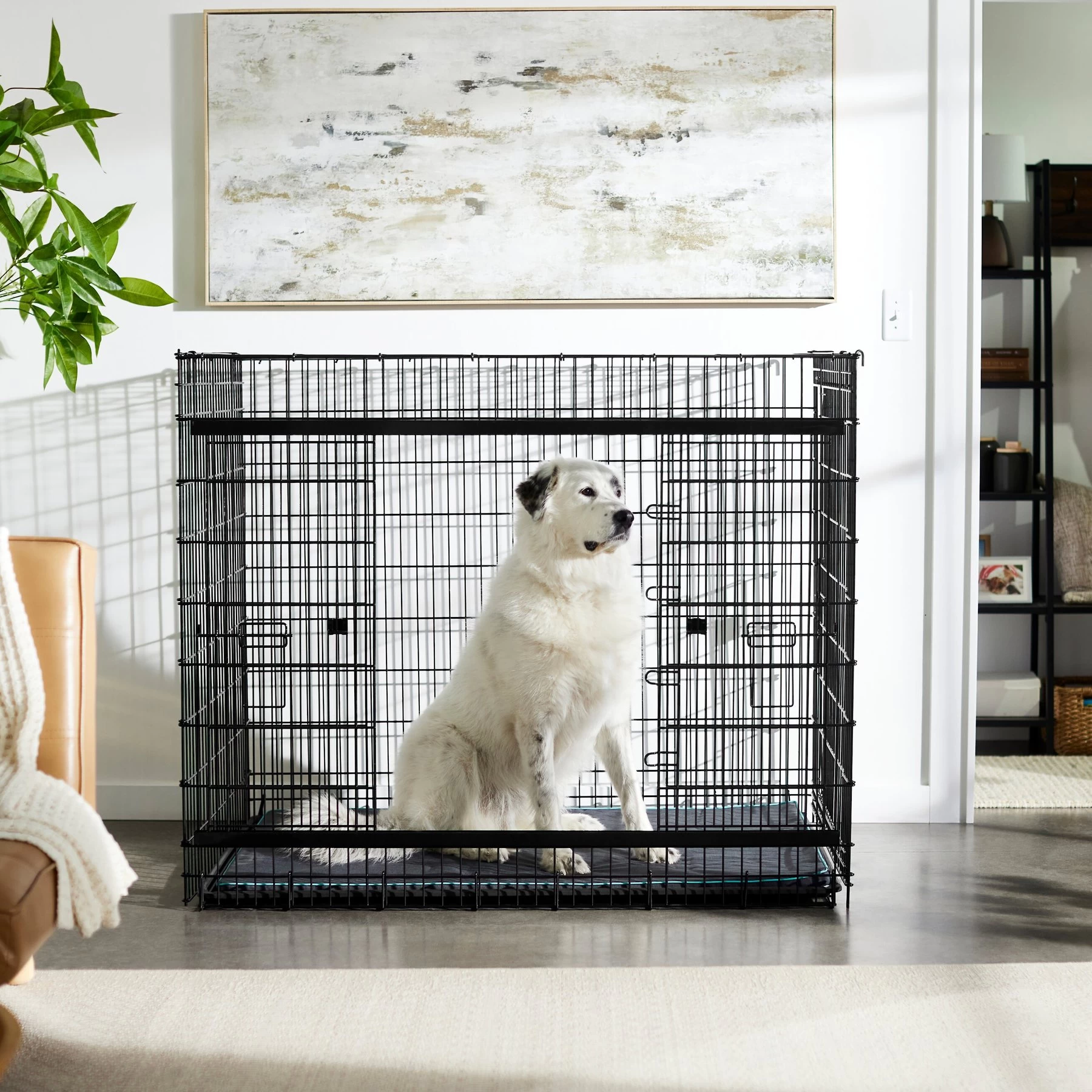 Frisco Heavy Duty Enhanced Lock Sliding Double Door Fold & Carry Wire Dog Crate & Mat Kit, 54 Inch 1 Frisco Heavy Duty Enhanced Lock Sliding Double Door Fold & Carry Wire Dog Crate & Mat Kit, 54 Inch