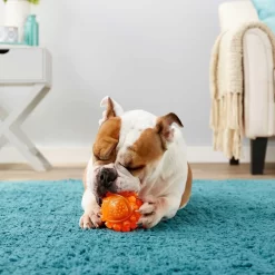 Frisco Fetch Squeaky TPR Ball Dog Toy & Bones & Chews Pig Ear Chews Dog Treats -Frisco Shop 297964 PT3. AC SS1800 V1623252759