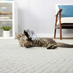 PureBites Chicken Breast Freeze-Dried Raw Cat Treats & Frisco Bouncy Mouse Plush Teaser Cat Toy With Catnip -Frisco Shop 298414 PT5. AC SS1800 V1623194253