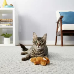 Sheba Meaty Tender Sticks Tuna Flavor Soft Adult Cat Treats & Frisco Squirrel Plush Cat Toy With Refillable Catnip -Frisco Shop 298510 PT5. AC SS1800 V1623201742