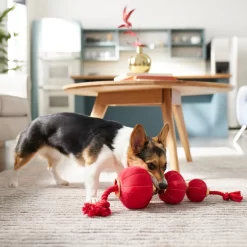 Frisco Lunar New Year Lantern Plush With Rope Squeaky Dog Toy -Frisco Shop 298885 PT3. AC SS1800 V1640269279