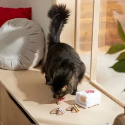 Frisco Lunar New Year Fortune Cookie Plush Cat Toy With Catnip -Frisco Shop 298909 PT3. AC SS1800 V1640269104