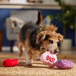 Frisco Valentine Hearts Plush Squeaky Dog Toy -Frisco Shop 298919 PT3. AC SS1800 V1701365170
