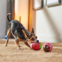 Frisco Valentine Chocolate Covered Strawberries Latex Squeaky Dog Toy -Frisco Shop 298923 PT3. AC SS1800 V1701365172