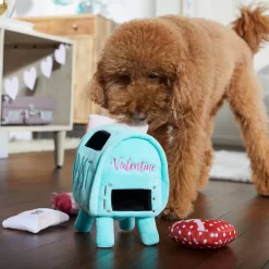 Frisco Valentine Love Letters Hide & Seek Puzzle Plush Squeaky Dog Toy -Frisco Shop 298929 PT3. AC SS1800 V1638987486