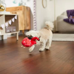 Frisco Valentine Anatomical Heart Plush Squeaky Dog Toy -Frisco Shop 298933 PT3. AC SS1800 V1638987632