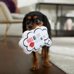 Frisco Valentine Be My Valentine Thought Bubble Reversible Plush Squeaky Dog Toy 8 Frisco Valentine Be My Valentine Thought Bubble Reversible Plush Squeaky Dog Toy -Frisco Shop 298947 PT3. AC SS1800 V1638987445