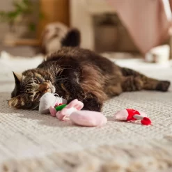 Frisco It's Raining Love Plush Cat Toy With Catnip, 4 Count 6 Frisco It's Raining Love Plush Cat Toy With Catnip, 4 Count -Frisco Shop 298968 PT3. AC SS1800 V1701364859