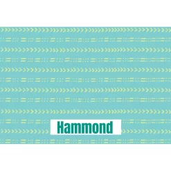 Frisco Mudcloth Personalized Dog & Cat Placemat 7 Frisco Mudcloth Personalized Dog & Cat Placemat -Frisco Shop 299552 PT2. AC SS1800 V1636048646