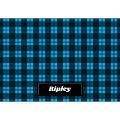 Frisco Plaid Personalized Dog & Cat Placemat 7 Frisco Plaid Personalized Dog & Cat Placemat -Frisco Shop 299564 PT2. AC SS1800 V1636048655