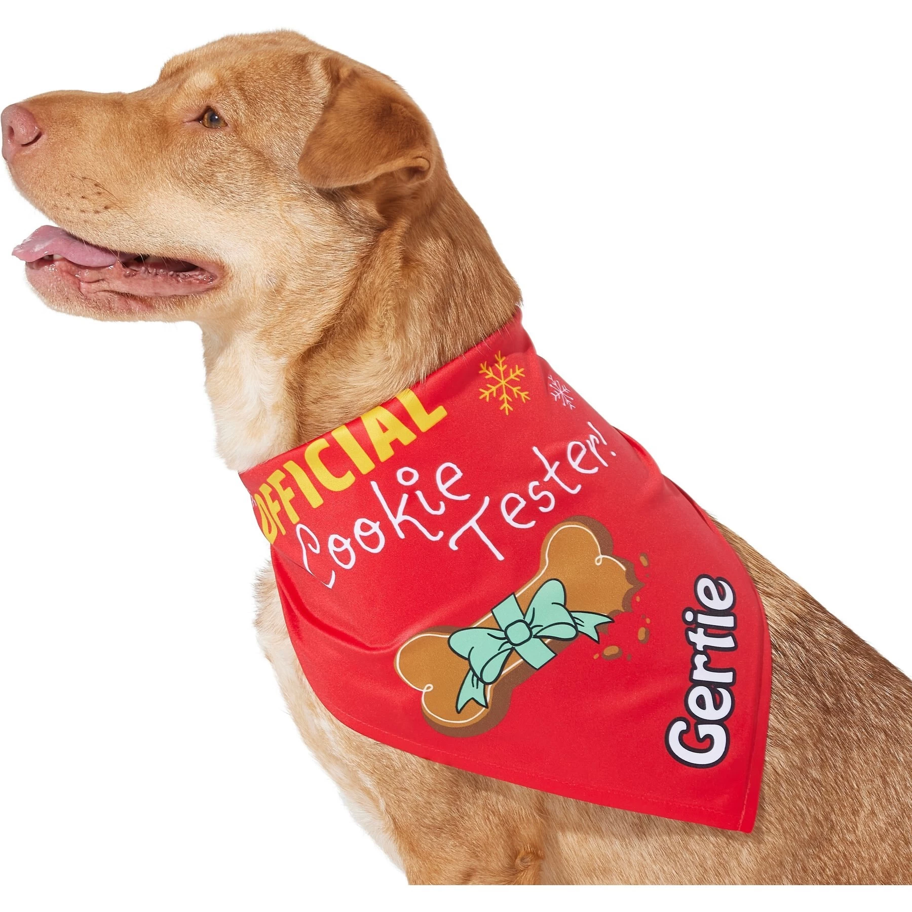 Frisco Official Cookie Tester Personalized Dog & Cat Bandana 1 Frisco Official Cookie Tester Personalized Dog & Cat Bandana