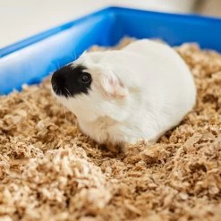 Frisco High Sided Small Pet Litter Box & Frisco Small Pet Paper Bedding -Frisco Shop 301934 PT6. AC SS1800 V1644966762