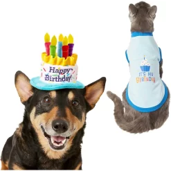 Frisco Birthday Cake Dog & Cat Hat & Frisco It's My Birthday & Cat T-Shirt