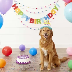 Frisco Birthday Cake Dog & Cat Hat & Frisco It's My Birthday & Cat T-Shirt -Frisco Shop 302392 PT3. AC SS1800 V1623056560